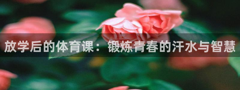 放学后的体育课：锻炼青春的汗水与智慧